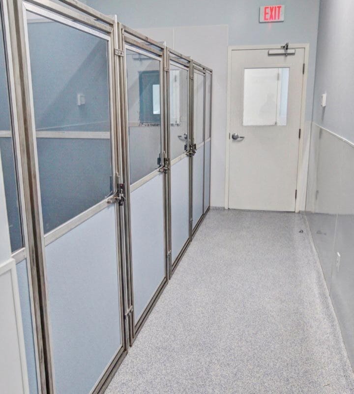 A clean, well-lit hallway with several individual dog boarding enclosures featuring metal frames and frosted panels, leading to a white door with a window and exit sign above.