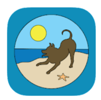 Cape-Cod-Dog-Center-–-Apps-on-Google-Play (1)